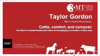 Cattle, comfort, and compost | T. Gordon