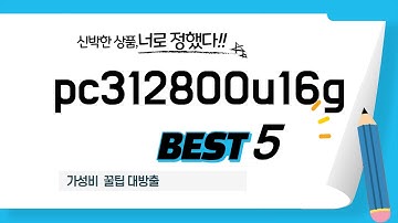 2025년 최신 pc312800u16g 추천 순위 TOP5