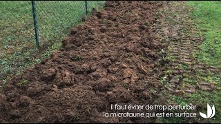 Haie champêtre : préparer le sol pour bien planter (2/3) - Truffaut