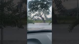IMG 0864