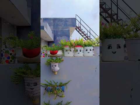 Gardening Ideas For Home Plants Nature Love Decoration Garden Video Yt Shorts