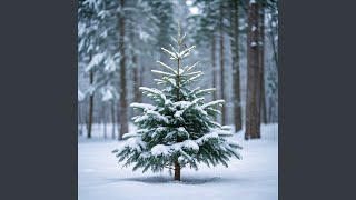 Winter Echo