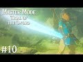 THE TRUE MASTER SWORD: Trial of the Sword MASTER MODE EDITION #10