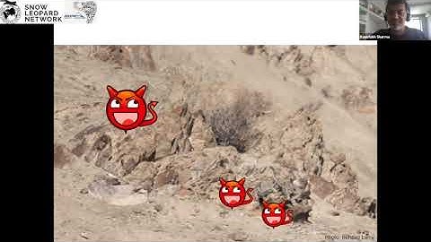 PAWS: Introduction to Spatial Capture Recapture