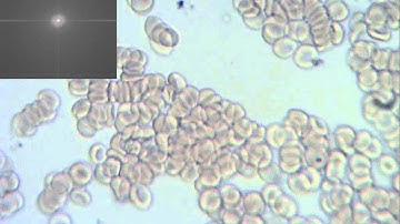 ImageJ - Stack with fft - 2