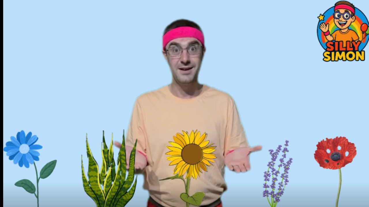 Colours and counting to 5 - It’s silly Simon