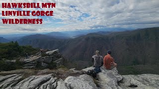 Don't Mess with the Hawk! Hiking Hawksbill Mountain, Linville Gorge Wilderness, North Carolina.