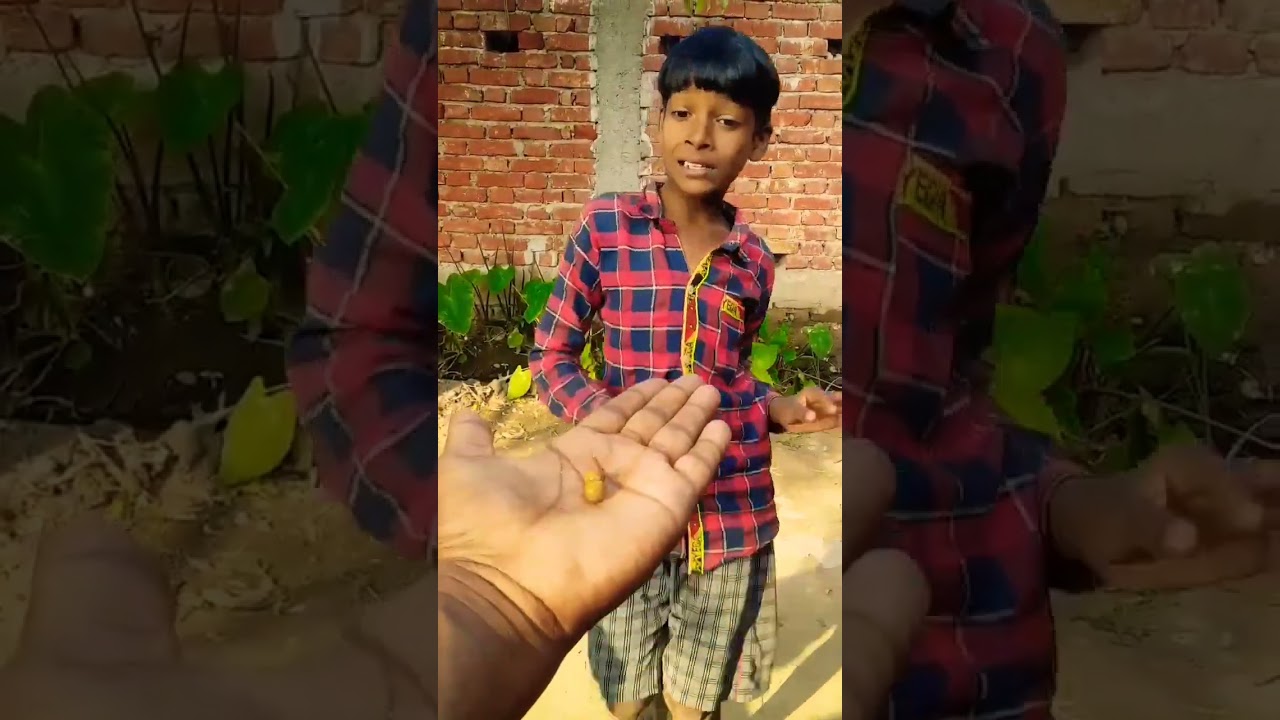 I've got a comfortable motor, I'll eat it with pleasure