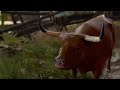How to Speak to Animals so you can increase Relationships and find Hidden Treasures and more stuff