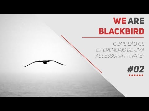 Quais os diferenciais de uma assessoria private? (We Are Blackbird #02)