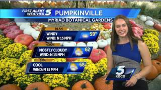 Forecast: Breezy and cool Saturday