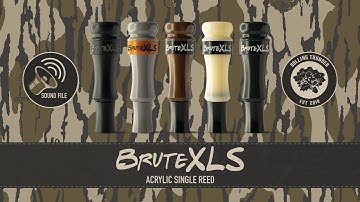 BruteXLS Single Reed Acrylic Cutdown Sound File