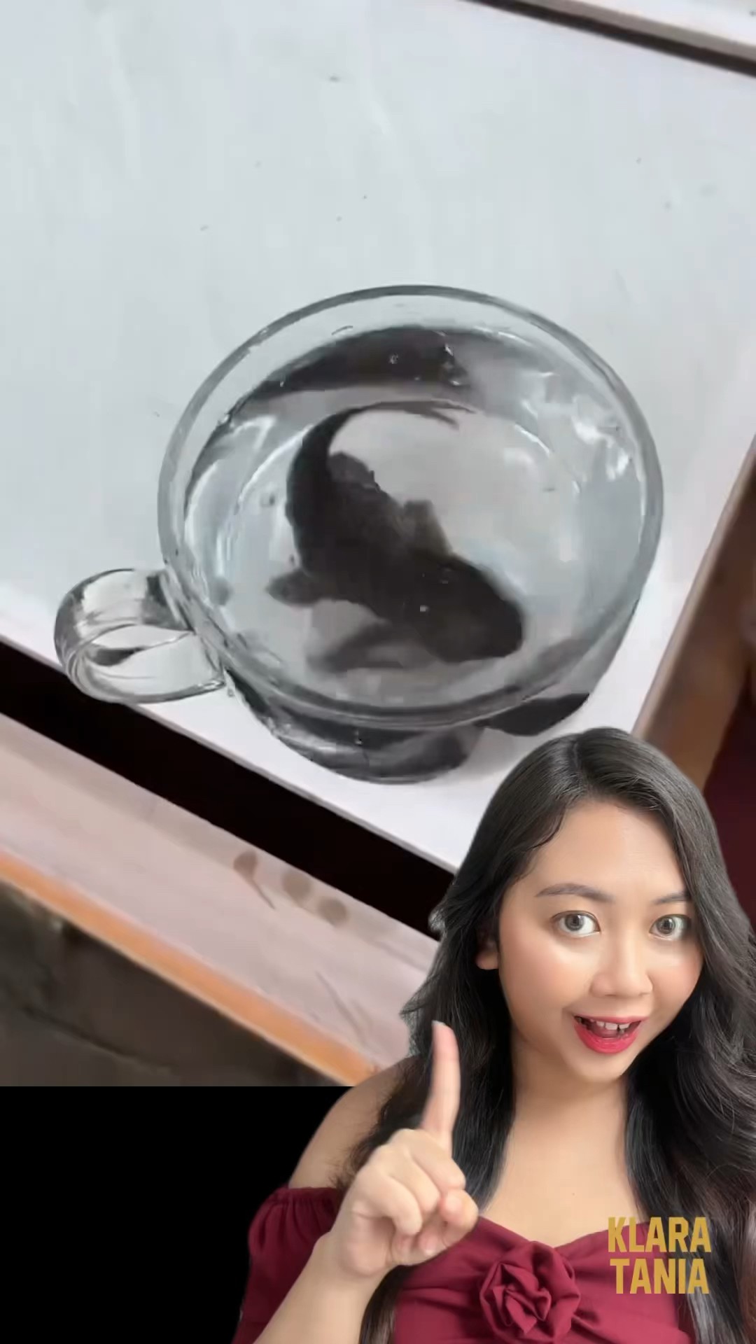 PERCOBAAN IKAN SAPU SAPU ?!?! | Klara Tania #shorts