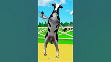 البقرة الراقصة البقرة الحلوب بقرة العيد بقرة تطعم اولادها اطفال البقرة The Cow 
