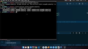 Women Techmakers Berlin JS Crash Course Vol 3 Lecture 5 — Adding a MongoDB Datastore