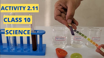 ACTIVITY 2.11 ll CLASS 10 ll SCIENCE ll CHAPTER 2 ll NCERT ll ANKITA MAM