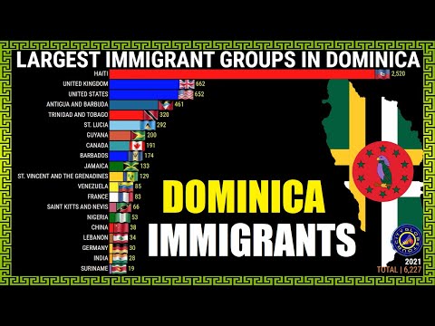 Video: Dominikadagi yoshlar kurorti