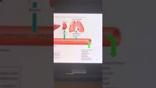 Biology 139-Lecture Exam 3 Review-Dr. Alley