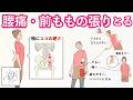 【腰痛・前ももの張り】共通する原因と対策|反り腰・腸腰筋リリース|自分に合わせてできるセルフ整体