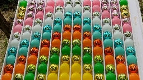 "Ball Sort Puzzle Logic Test: Are You a Puzzle Master?"