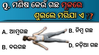 Important question || general knowledge odia || MCQ question with answer screenshot 4