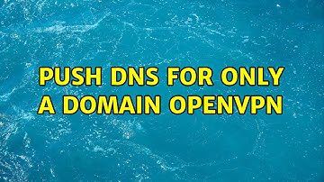 Push DNS for only a domain OpenVPN (2 Solutions!!)