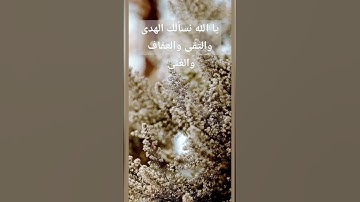 القرآن الكريم/ تلاوة خاشعة/ترتيل القرآن الكريم/ الترتيل