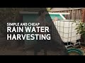 Rainwater Harvesting - Simple and Easy Method