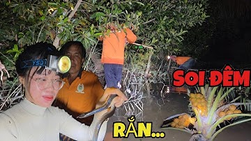 Một Đêm Đi Soi Bắ.t 3 Loại Rắn...,Chuột và Có Cá_Cả Nhóm Ăn Bữa Cơm Lúc Nửa Khuya| ONMT #Tập 117