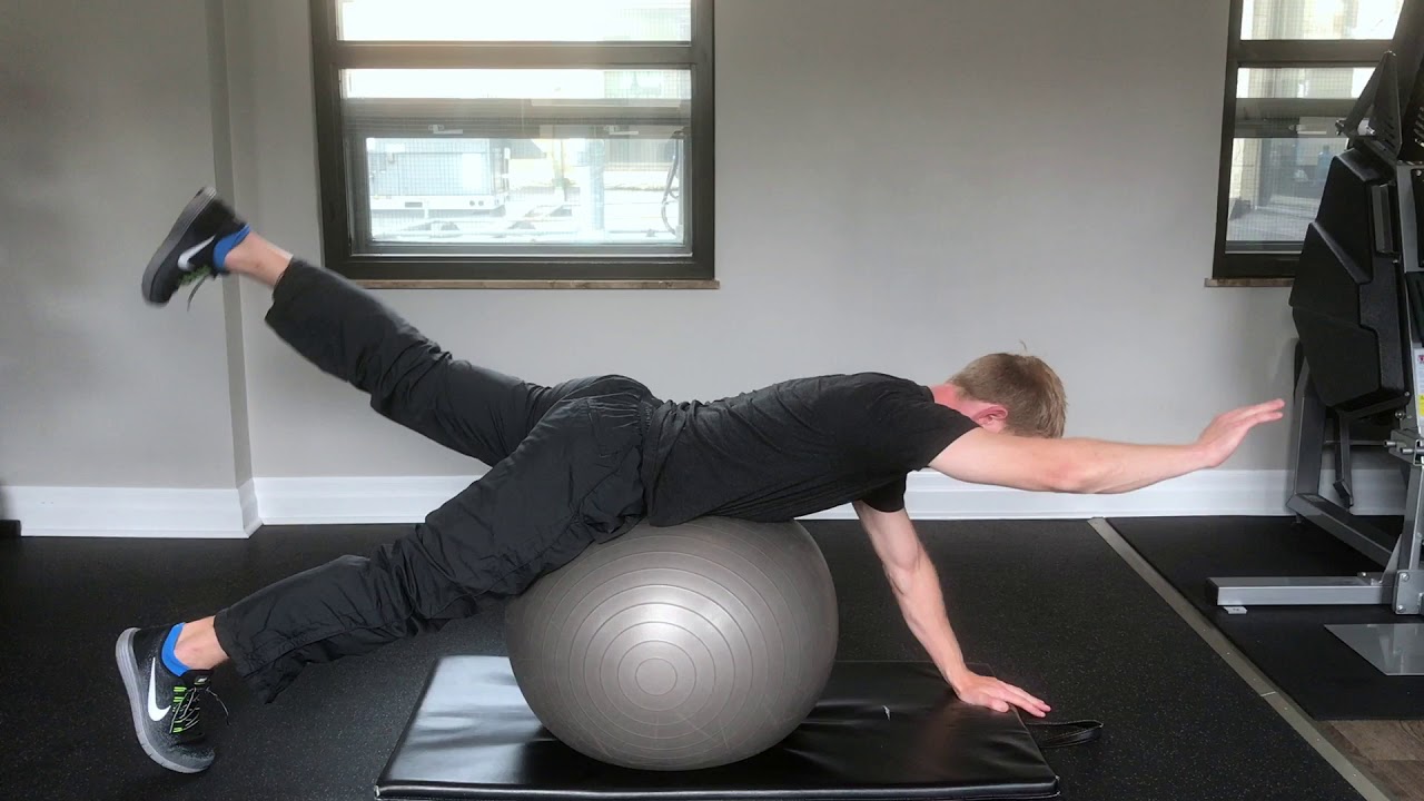 Stability Ball Bird Dog YouTube