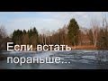 Апрельское утро на даче