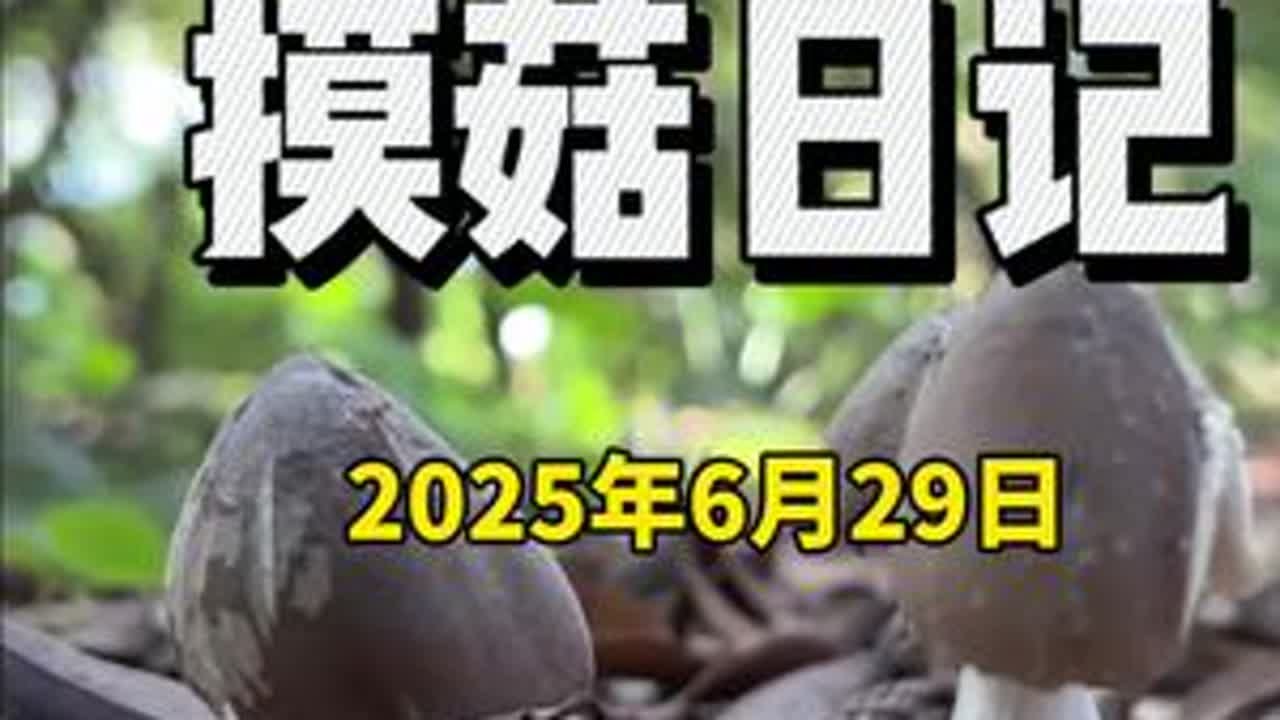 来了来了！南沙第三波 