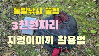 통발낚시꿀팁 계곡물고기 많이 잡는 통발미끼 활용법 이렇게 미끼 활용했더니!!고급어종 잡았다