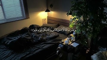 القارئ الشيخ هشام البراوي عندما ابدع فى سورة النور تلاوة رائعة 🤍🤍🤍