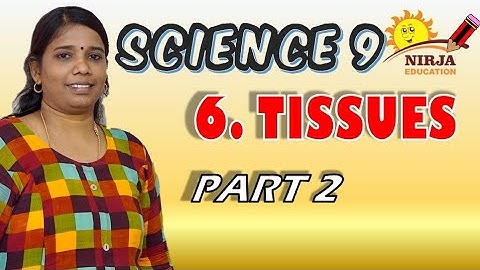 Class 9 Science Chapter 6 - CBSE Class 9 Science - 6 || Tissues || Part 2 || NCERT || Biology 9