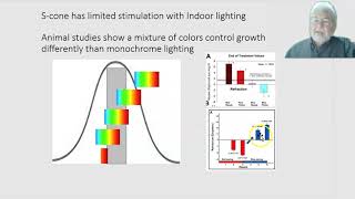Why is outdoor activity protective