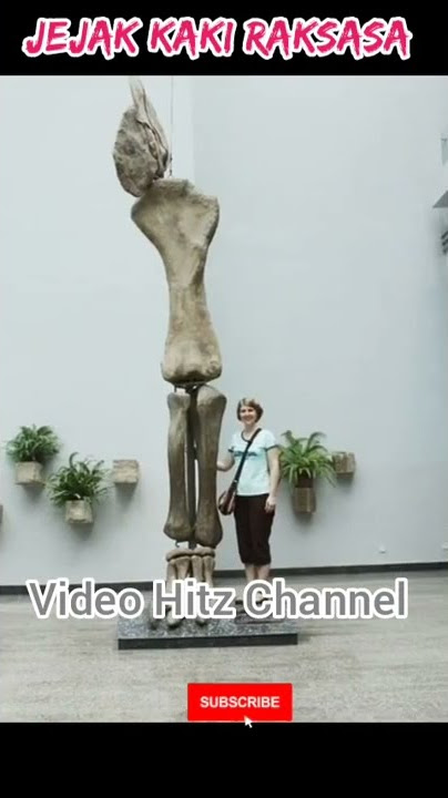 Inilah Telapak Kaki Raksasa ‼️#shorts #shortsvideo #giant #raksasa #telapak #kaki