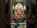 जय श्री श्याम🌹🙏