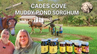 Muddy Pond Sorghum Demo at Cades Cove | Wedding Memories | Fall in the Smokies Bears & Wildlife