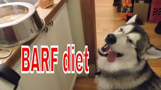 Barf diet for alaskan malamute shedding fur