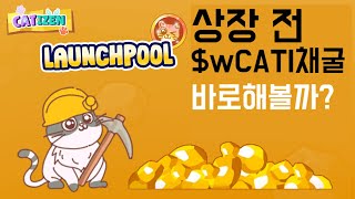 2분기 상장 예정인 캣티즌 10일 동안 $wCATI 채굴, 초반러쉬가 중요하다!