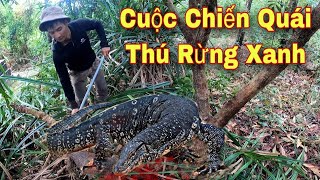Truy Đuổi Qu/á/i Thú Rừng Xanh H/u/ng D/ữ T/ấ/n Công Thợ Săn Suýt M/ấ/t M.a.ng