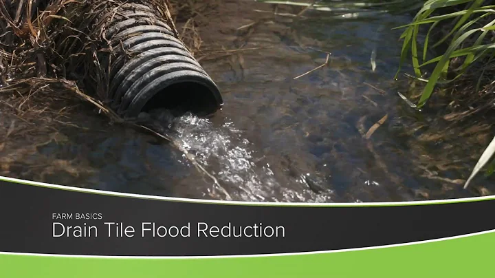 Farm Basics #1201 Drain Tile Flood Reduction (Air Date 4-11-21)