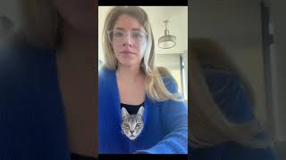 #cats #turkishcat #studywithmeandmycat #funny #cat #animals