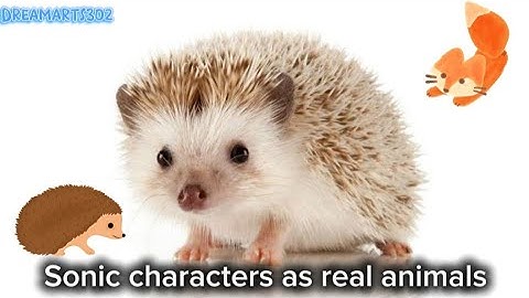 Sonic characters as real animals Part 1