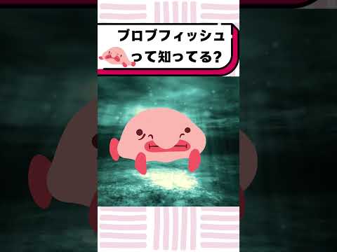 ブロブフィッシュって知ってる？#都音ゆずたみ #雑学 #豆知識