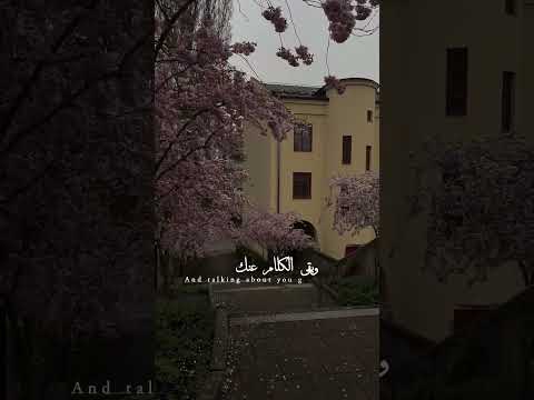 مبقتش بستناك تجيني أو تقول وحشاك