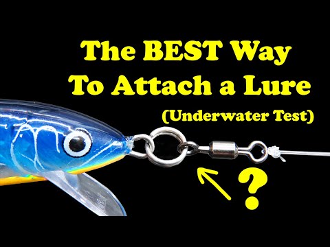 How To Fish Crankbaits (Bass Fishing Tips) 