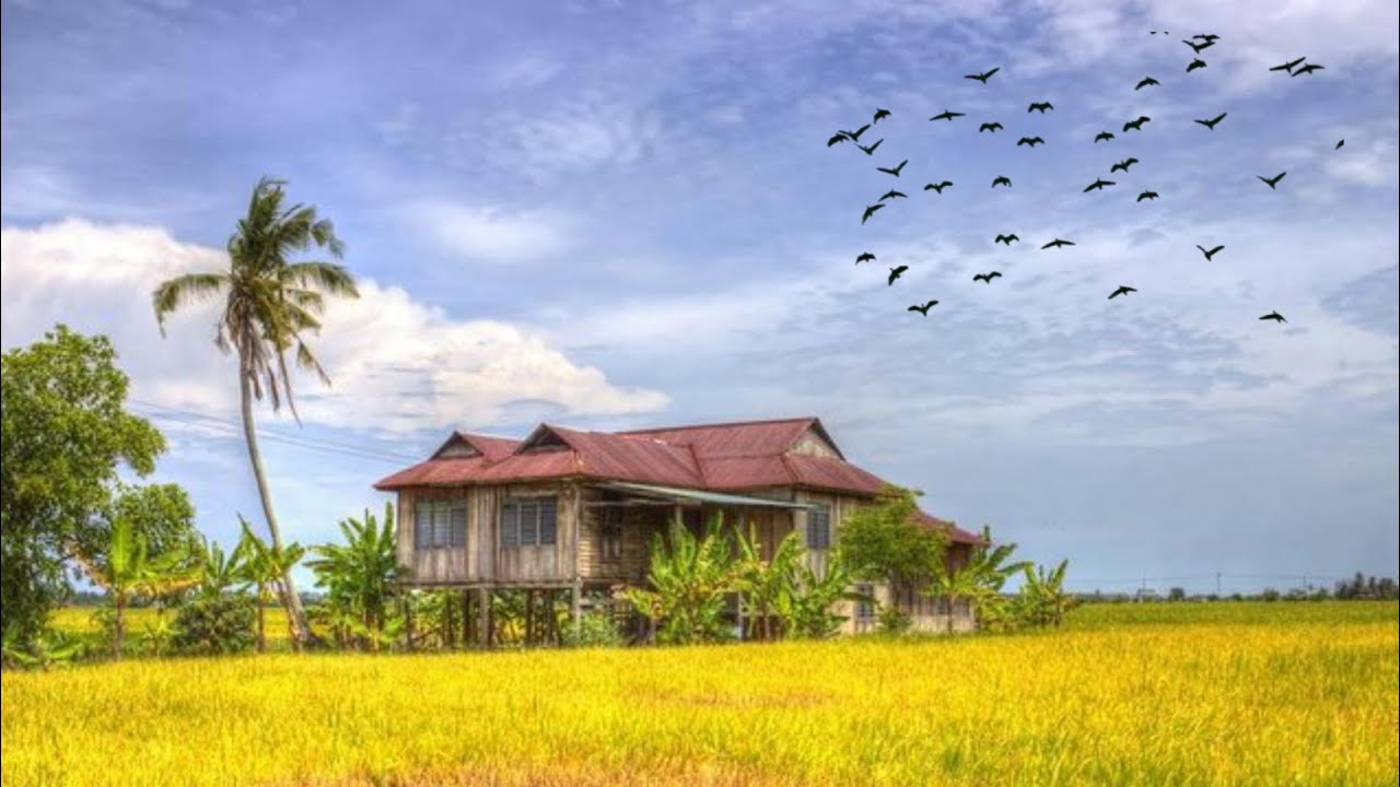 Farmer Whatsapp Status 😱😱 ।। Farmer Song Status ।। Whatsapp Status 