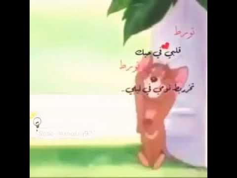تورط كلبي في حبك تخربط
